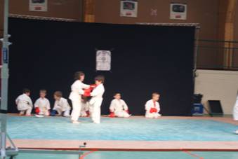 DSC02377